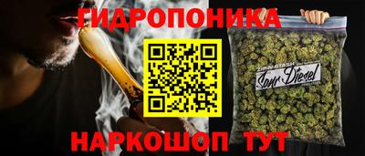 соль ск Бийск