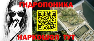 спайс Берёзовский