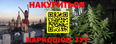 спайс Берёзовский